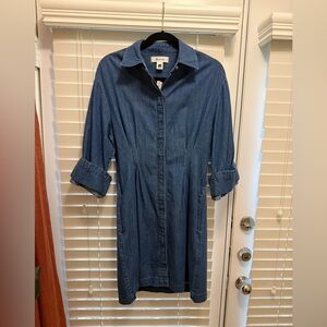 Madewell denim dress